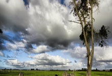 [NBA]常规赛3月26日：雷霆VS国王 亚历山大集锦.