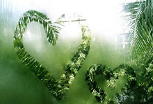 黑白体育：莱利会解雇斯波吗？阿里纳斯：莱利需要解雇的是他自己.