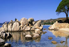 [图]勒沃库森3-2莱比锡 药厂18轮不败领先拜仁7分.